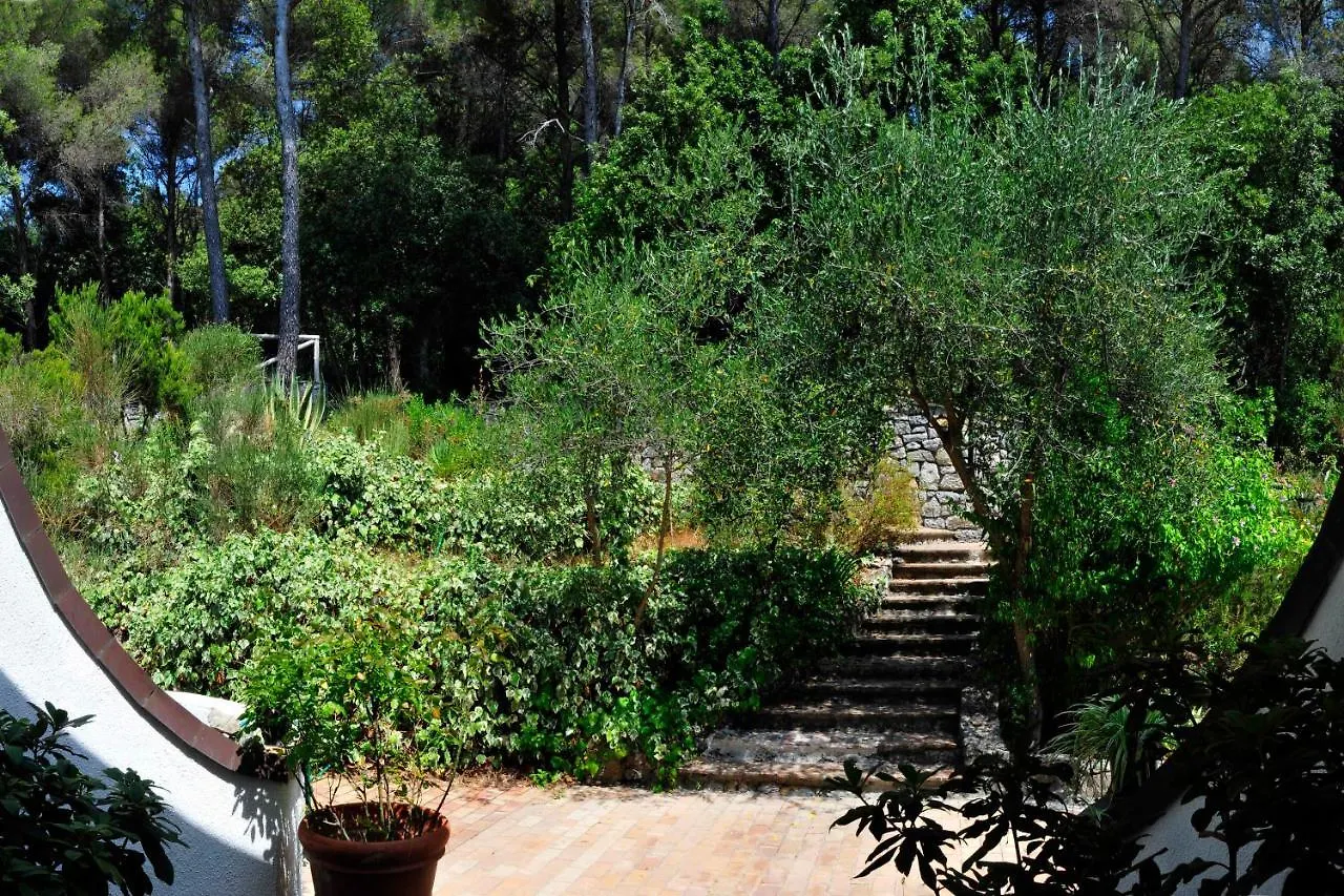 B&B Al Cavalluccio Marino Montemarcello Italia